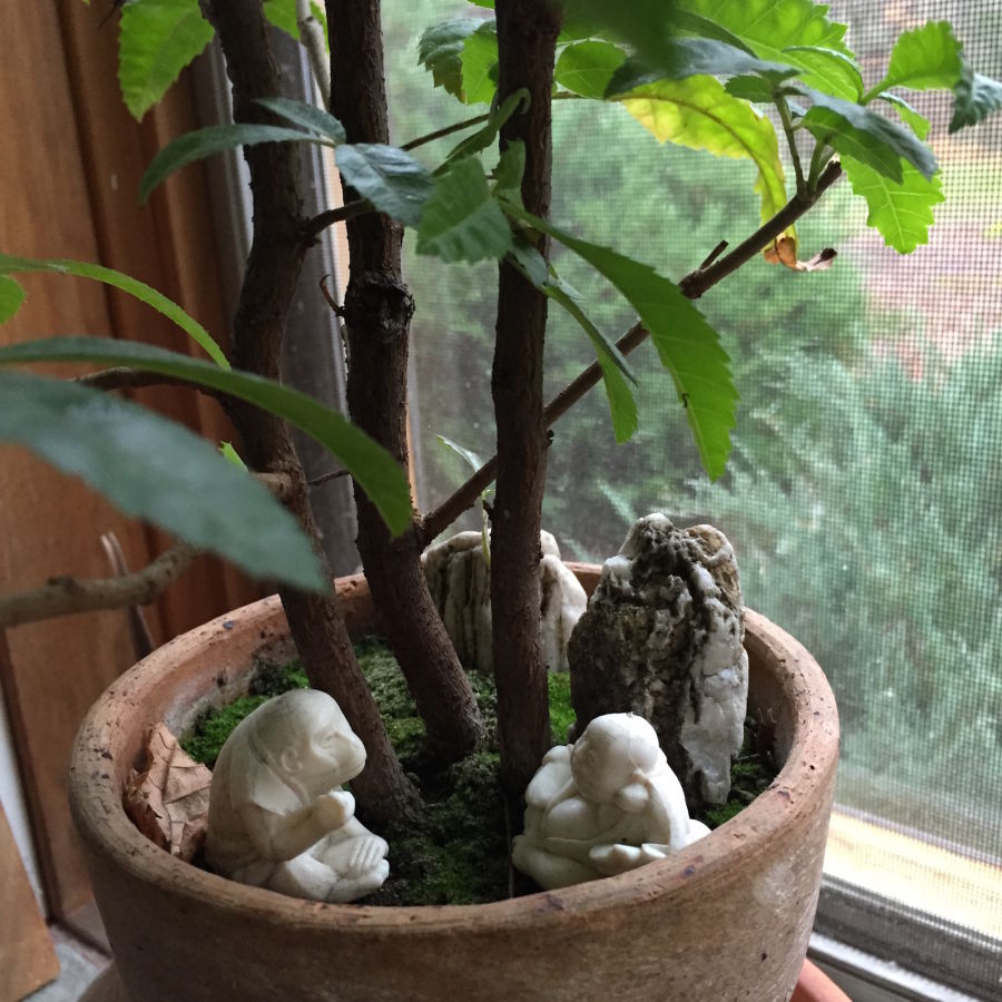 Artful items in an indoor plant pot