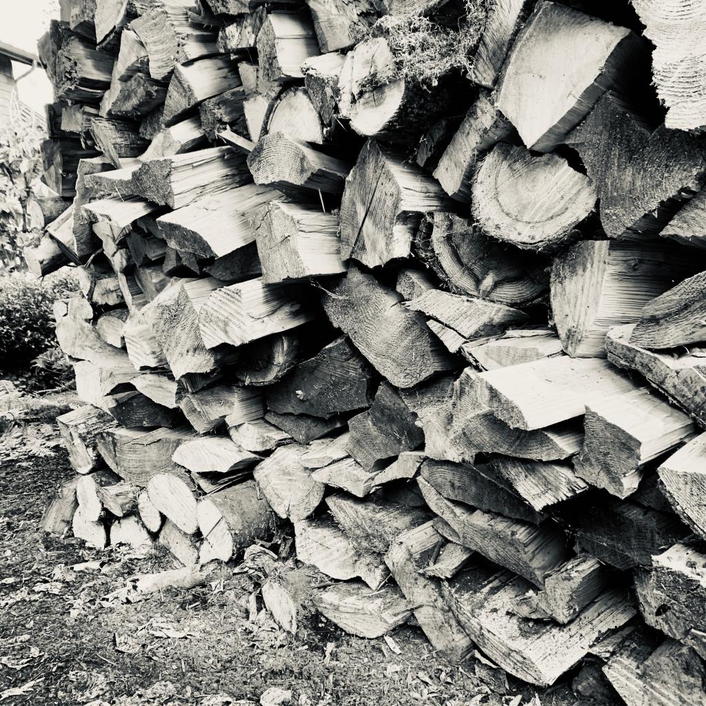 Behind the Woodpile